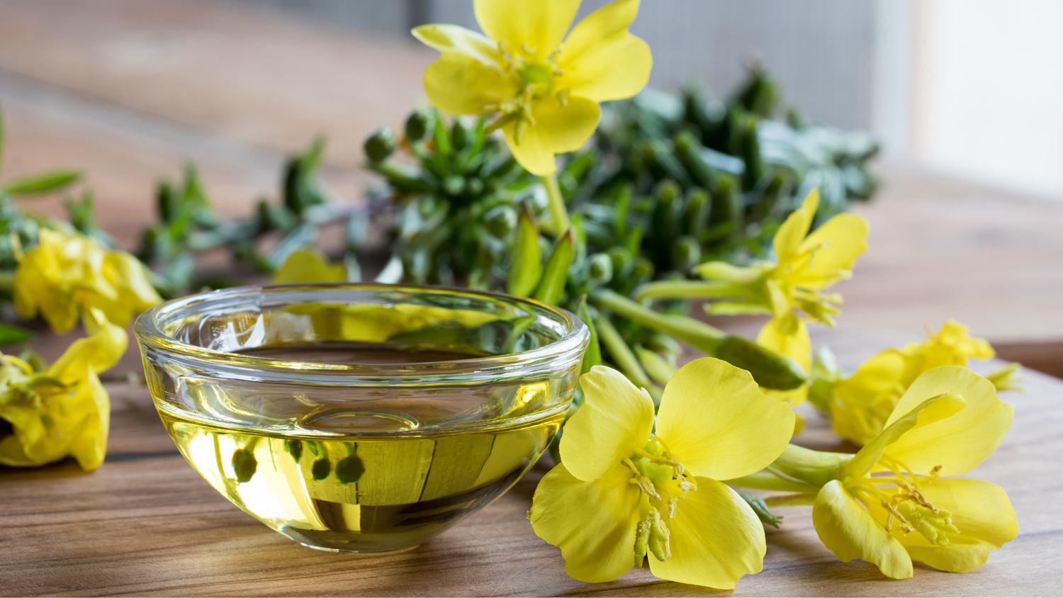 Why Evening Primrose Oil is a Natural Skincare Powerhouse for Acne and Eczema