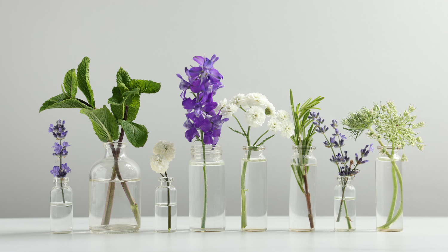 The Lavido Standard: How Our Brand Seals Define Clean, Natural Skincare